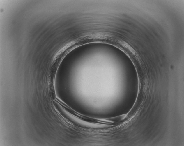 X0000087420922200704271733