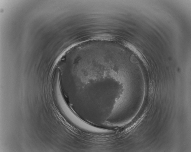 X0000087420923200704271733