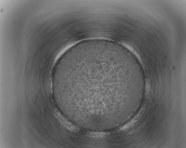 X0000087420925200704271733