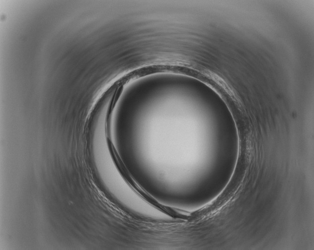 X0000087420926200704271733