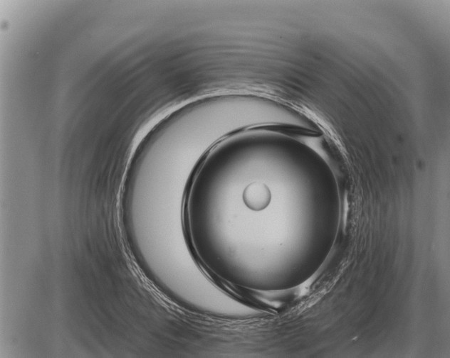 X0000087420928200704271733