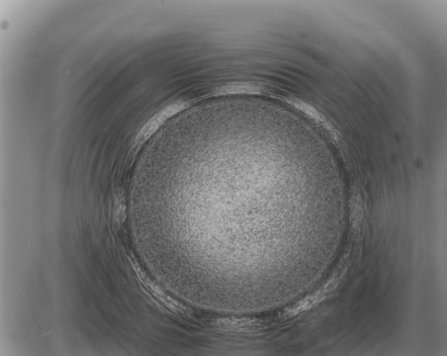 X0000087420929200704271733