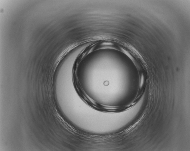 X0000087420930200704271733