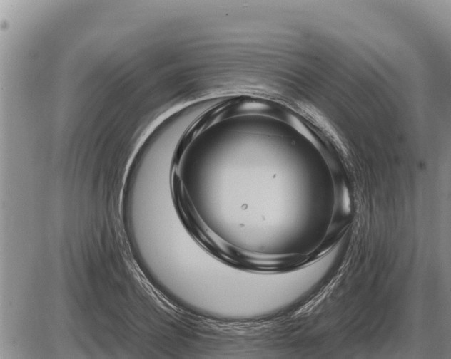 X0000087420932200704271733