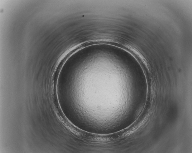 X0000087420933200704271733