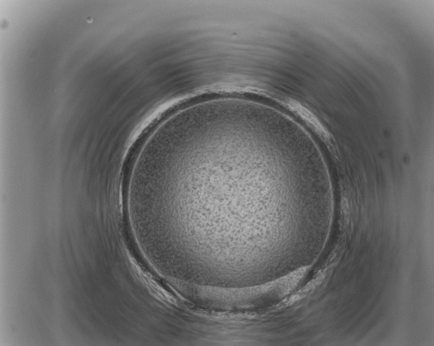 X0000087420934200704271733