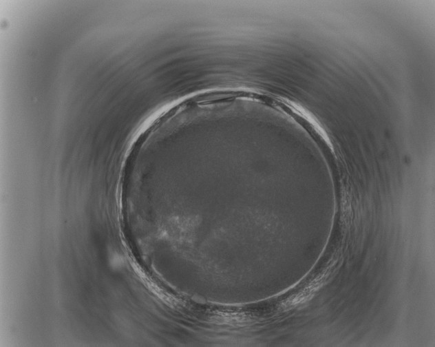 X0000087420935200704271733