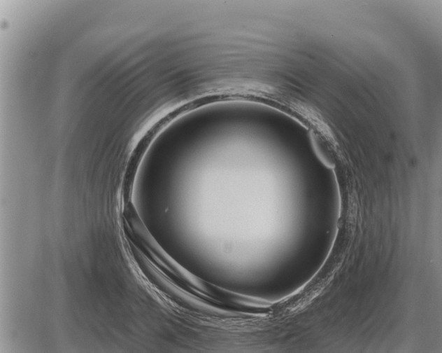 X0000087420936200704271733