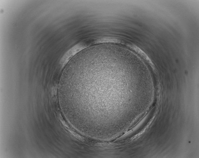 X0000087420937200704271733