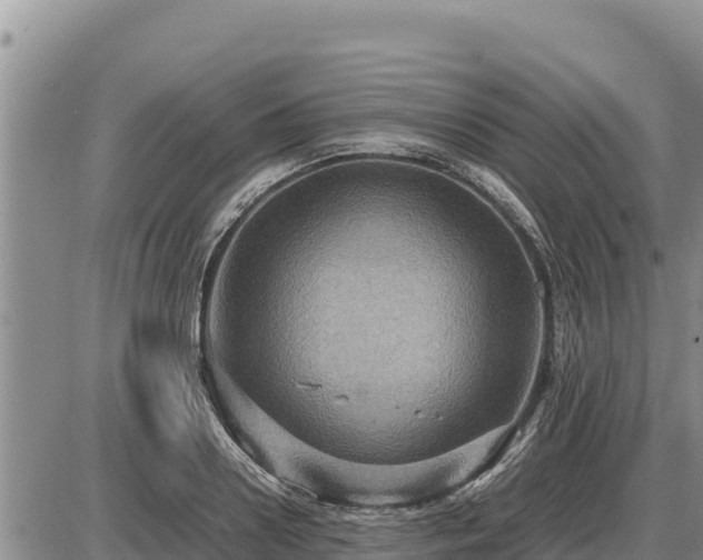 X0000087420938200704271733