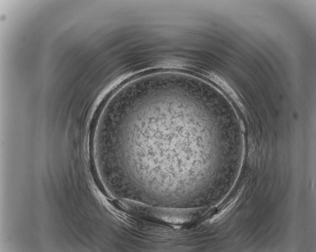 X0000087420939200704271733