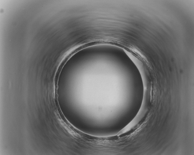 X0000087420940200704271733