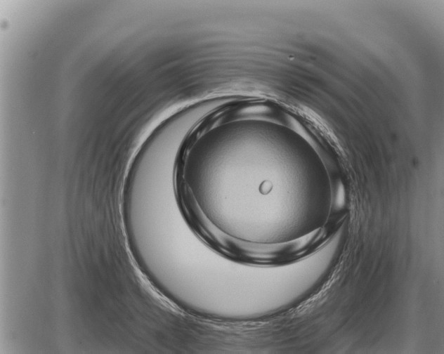 X0000087420942200704271734