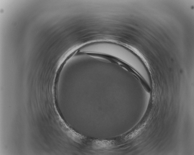 X0000087420943200704271734