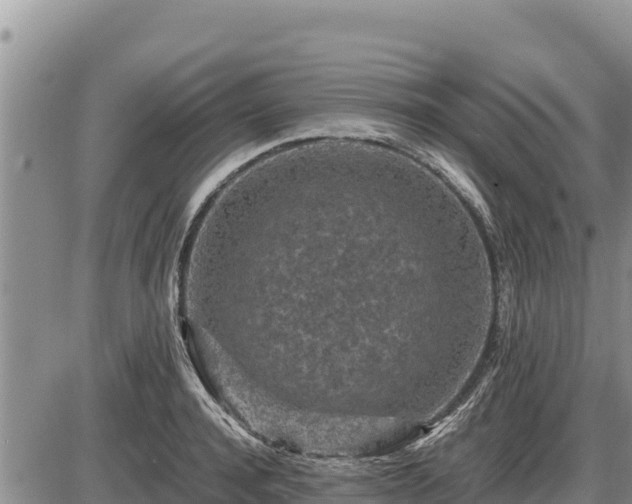 X0000087420944200704271734