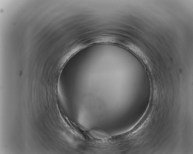 X0000087420945200704271734