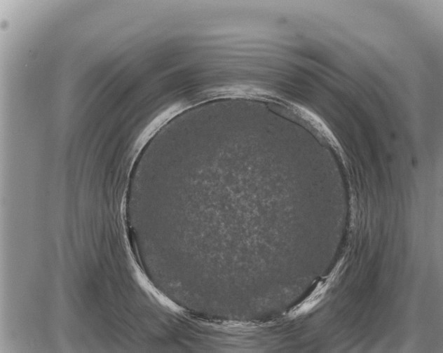 X0000087420946200704271734