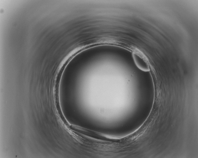 X0000087420947200704271734