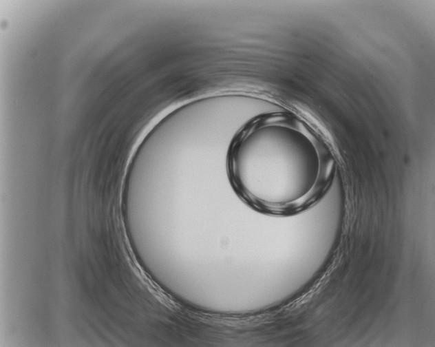 X0000087420948200704271734