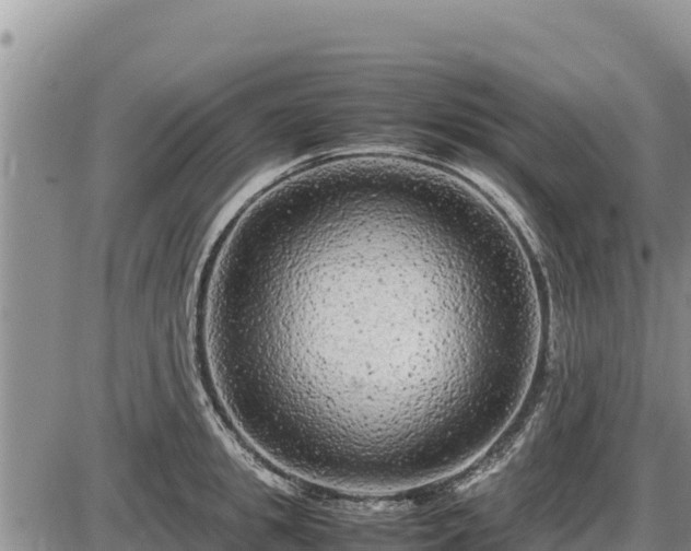 X0000087420949200704271734