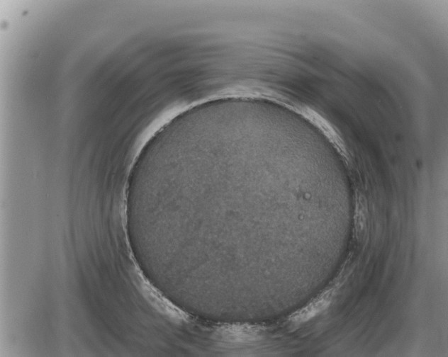 X0000087420950200704271734