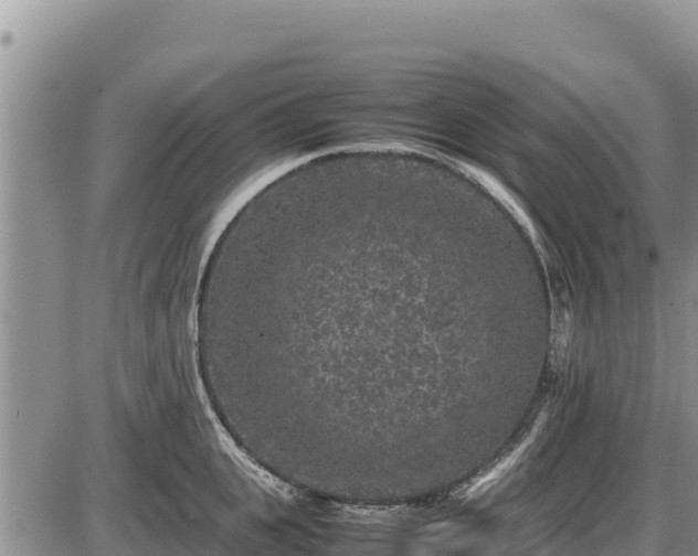 X0000087420951200704271734