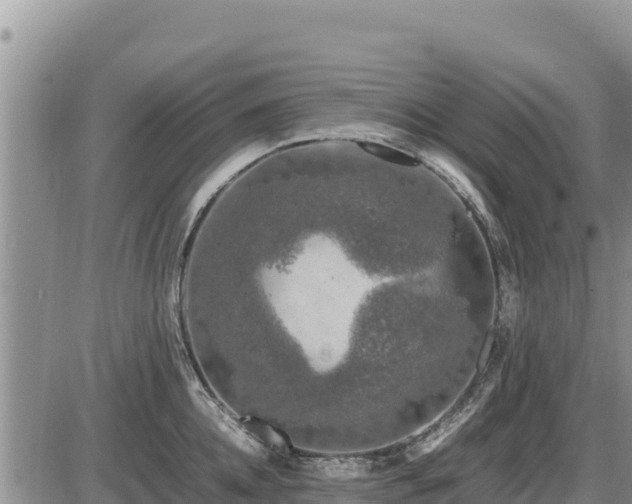 X0000087420952200704271734