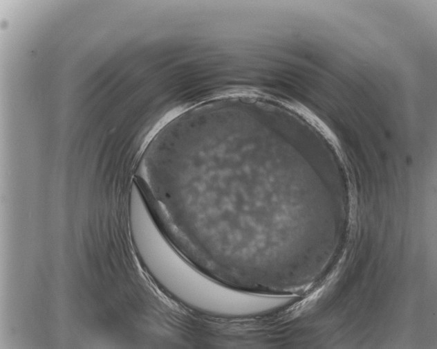 X0000087420953200704271734