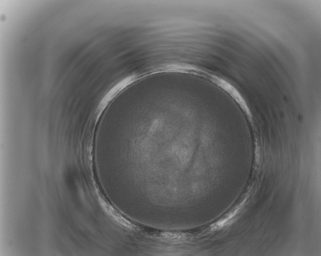 X0000087420954200704271734