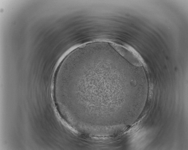 X0000087420955200704271734