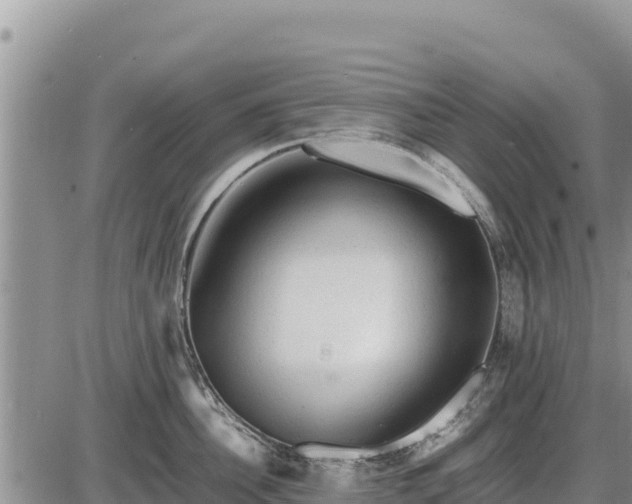 X0000087420956200704271734