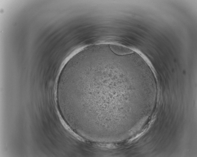 X0000087420957200704271734