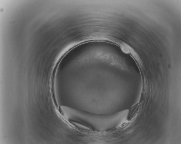 X0000087420958200704271734