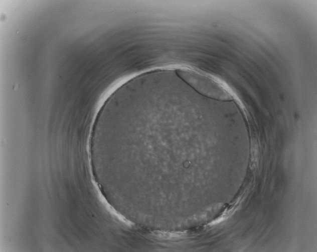 X0000087420959200704271734