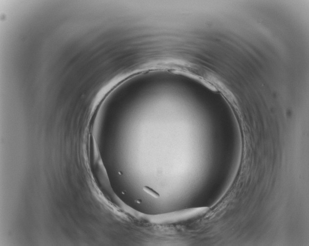 X0000087420960200704271734