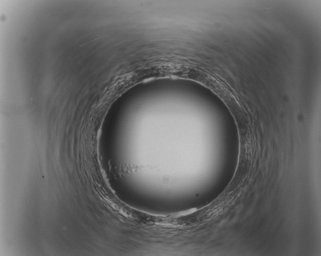 X0000087420961200704271733