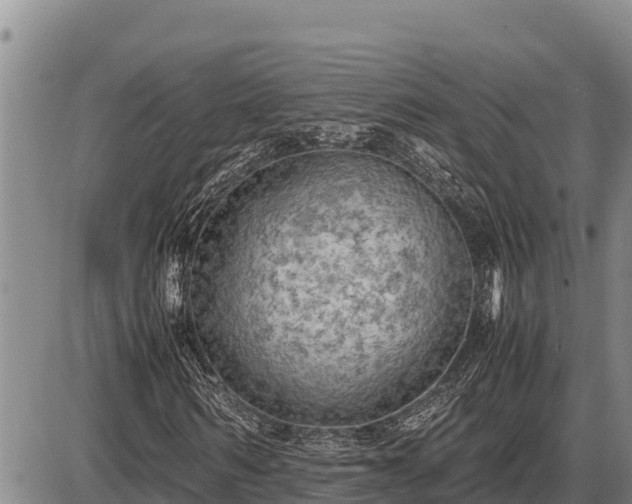 X0000087420962200704271733