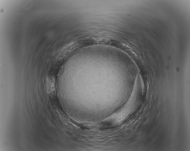 X0000087420963200704271733