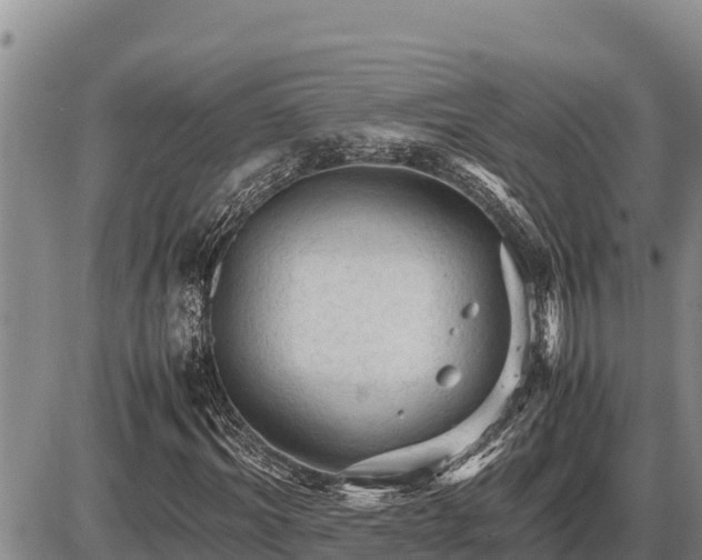 X0000087420964200704271733