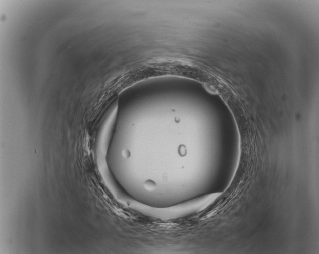 X0000087420965200704271733