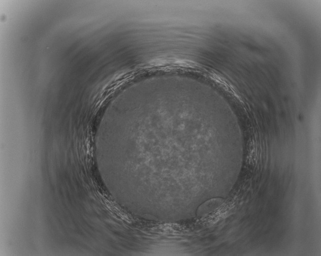 X0000087420966200704271733