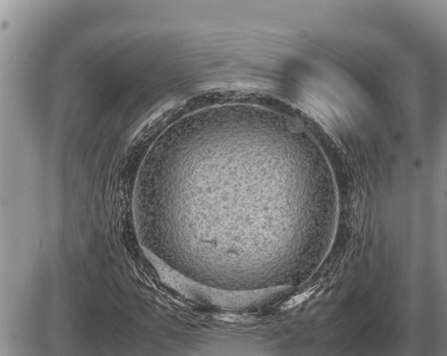 X0000087420967200704271733