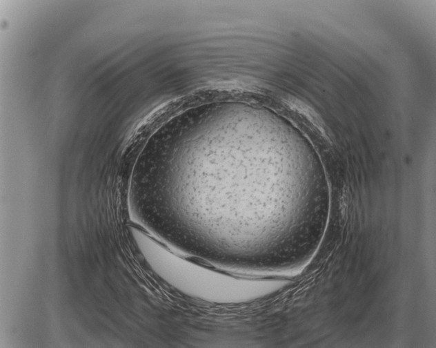 X0000087420968200704271733