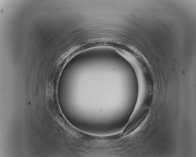 X0000087420969200704271733