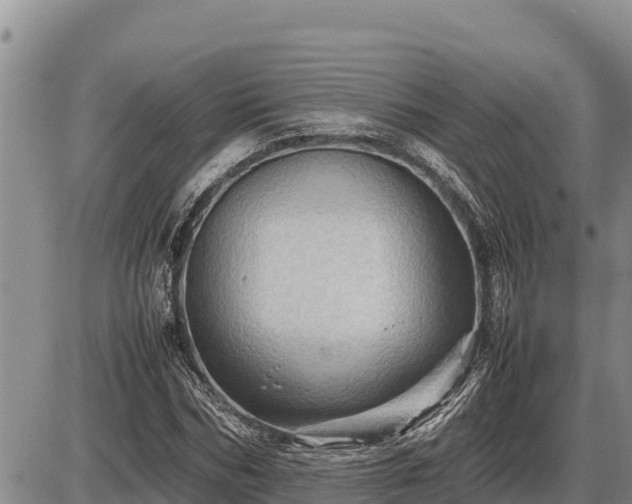 X0000087420970200704271733