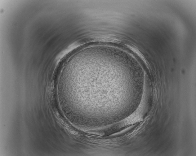 X0000087420971200704271733