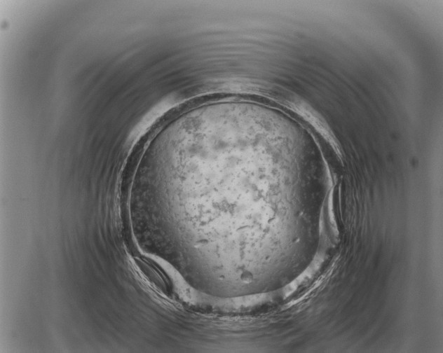 X0000087420972200704271733