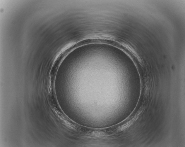 X0000087420974200704271733