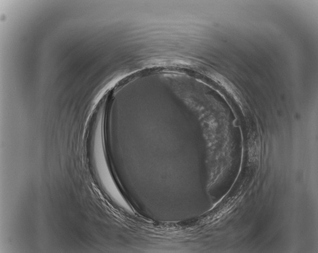 X0000087420975200704271733