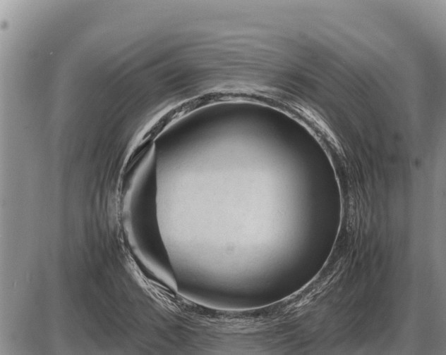 X0000087420976200704271733